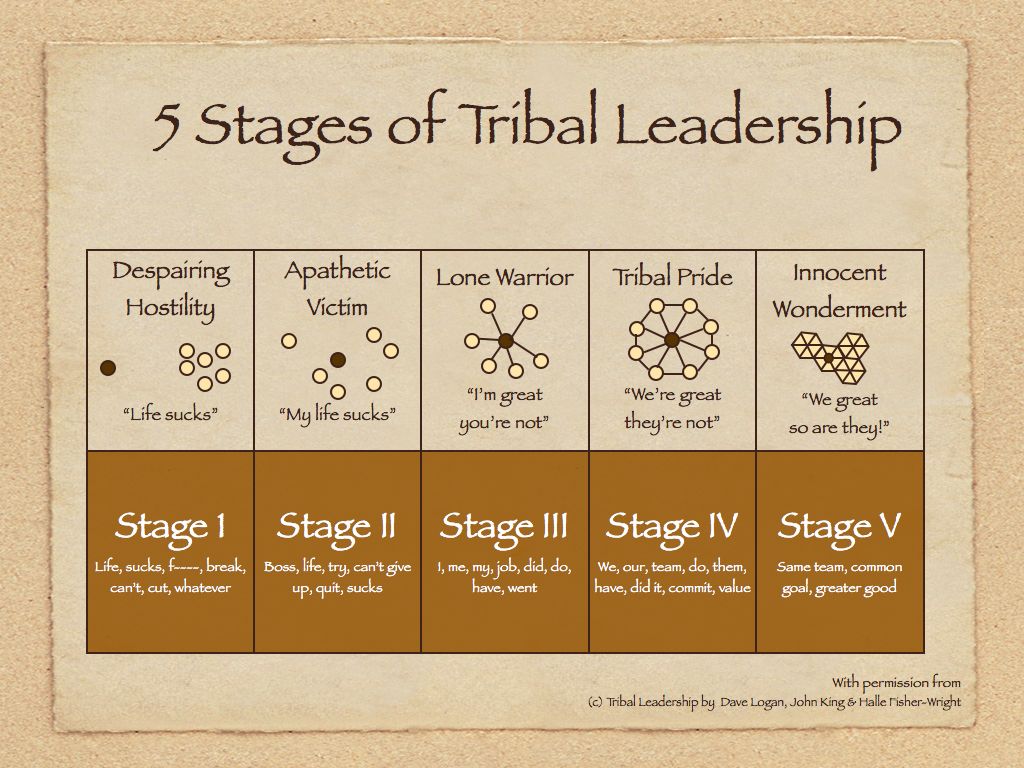 5 Stages of Tribal Leadership